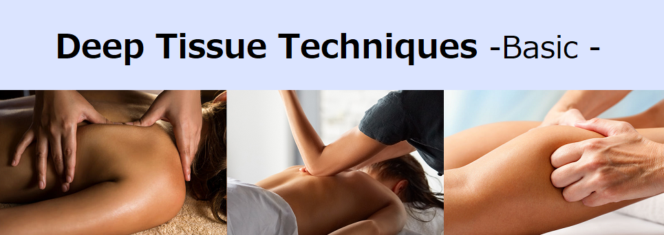 ディープティシューマッサージ 基礎｜TRTA 東京リメディアル